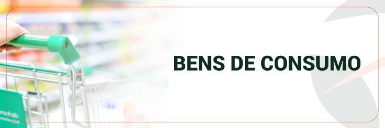 Segmento Bens de Consumo